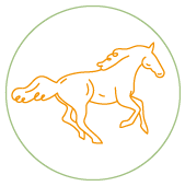 icone cheval 3
